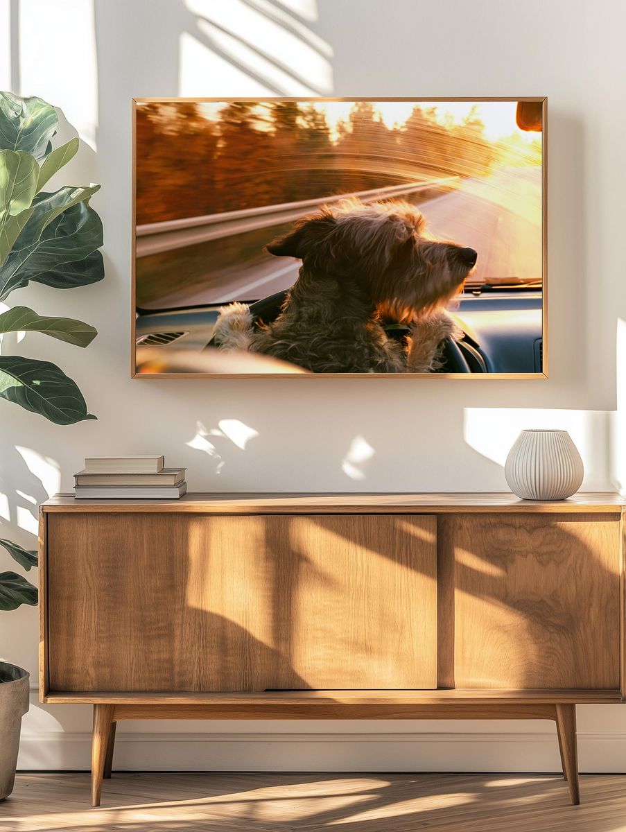 Dog Road Trip Photography Poster. — room view 3