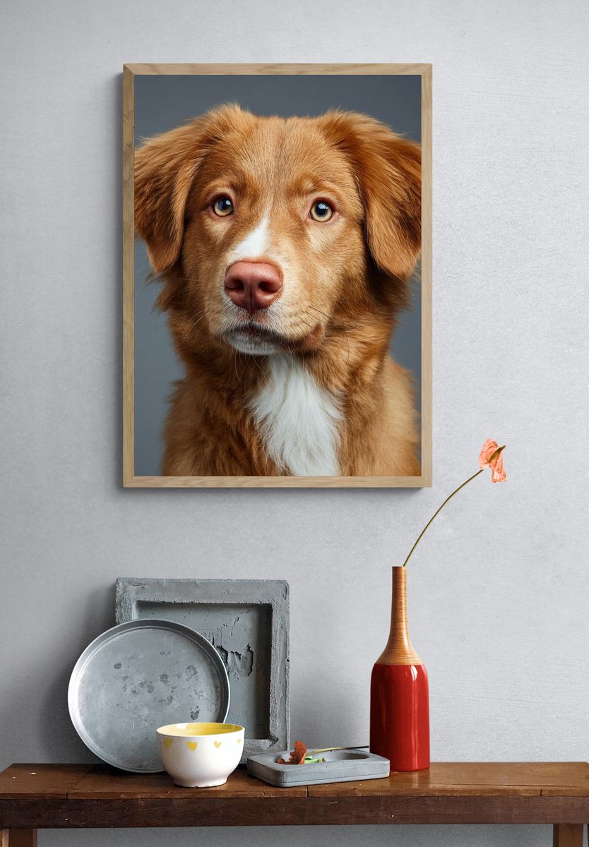 Golden Dog Portrait Poster. — room view 3