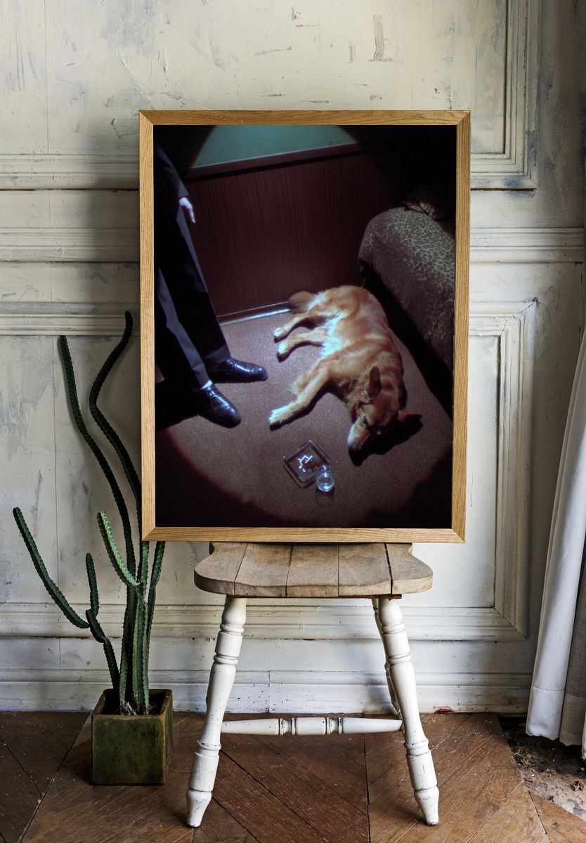 Golden Retriever in a Dim Room — Photography Print. — room view 1