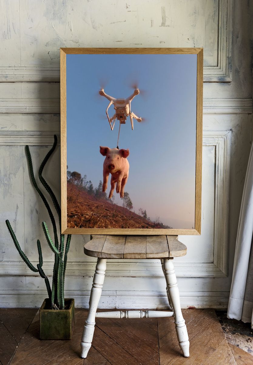 Drone-Lifted Pig Surrealism Print. — room view 1