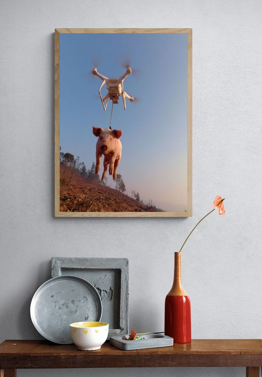 Drone-Lifted Pig Surrealism Print. — room view 3