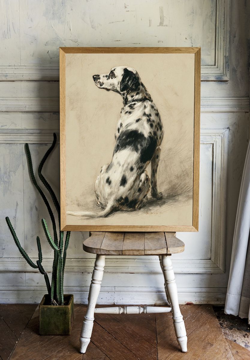 Dalmatian Dog Portrait Print room preview