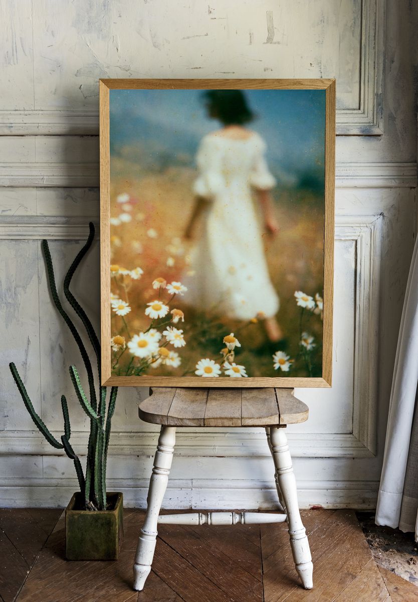 Dreamy Meadow Figure Photography Poster. room preview