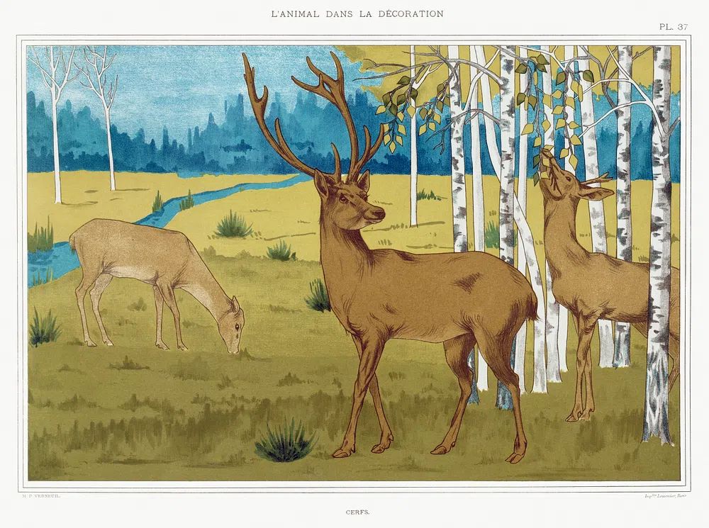 Deer in Nature — Vintage Print. poster detail