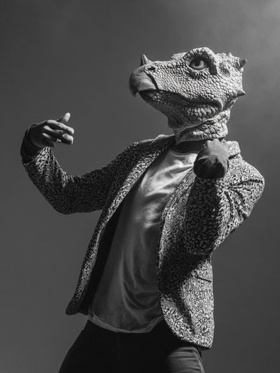 Dinosaur Head Portrait Print. poster
