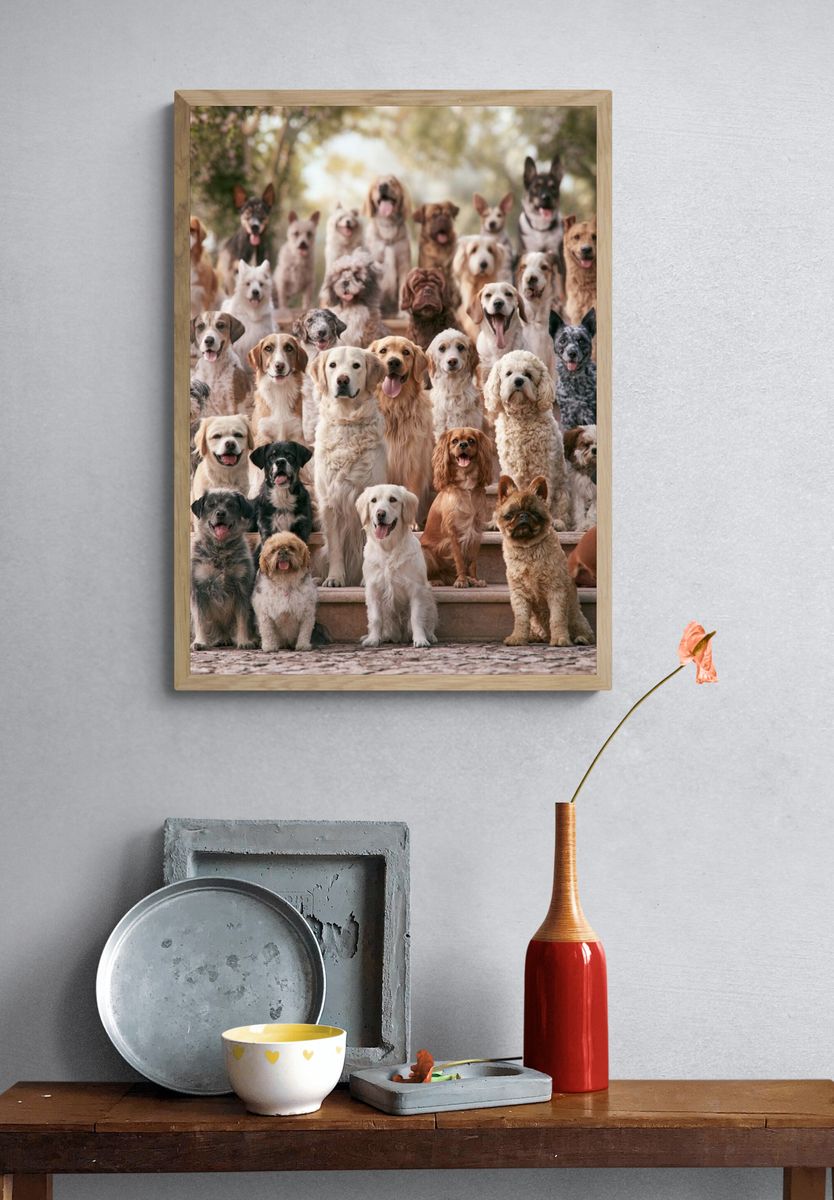 Dog Gathering Photography Poster. — room view 3