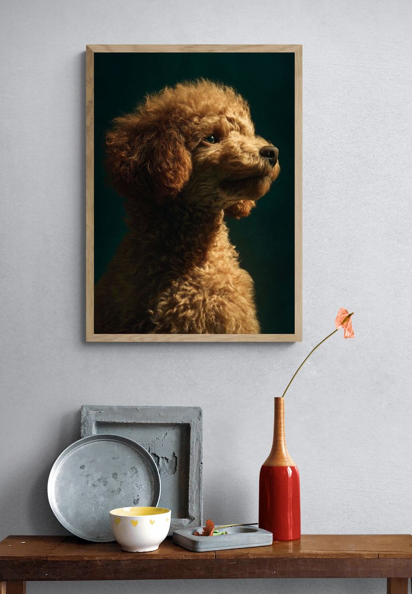 Poodle Portrait — Photography Print. — room view 3