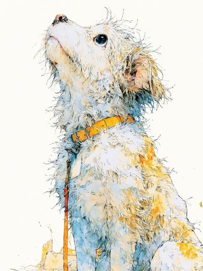Curious Dog Watercolor Poster. poster