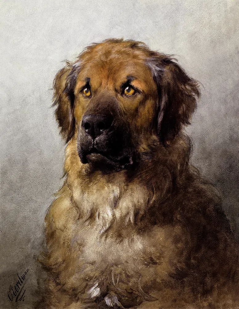 Head Leonberger (c.1880–c.1892) drawing high. poster — animals art