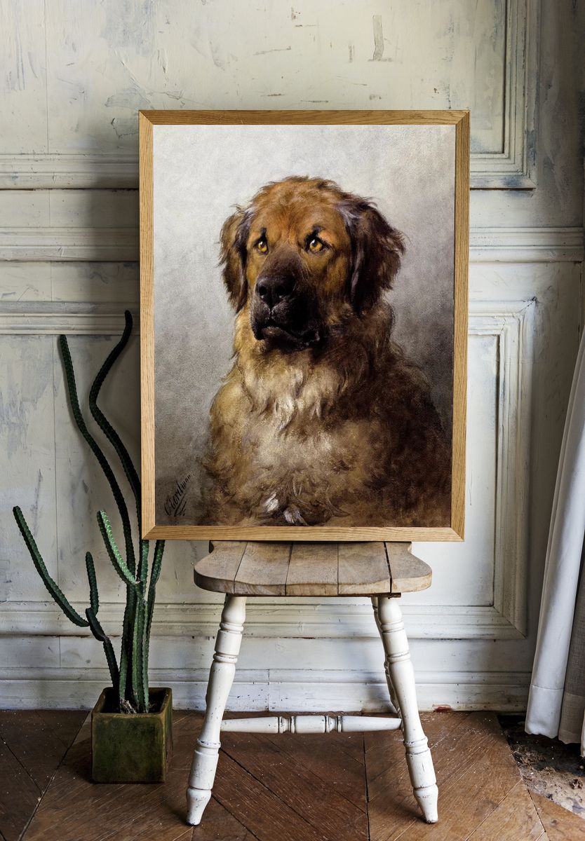Head Leonberger (c.1880–c.1892) drawing high room preview