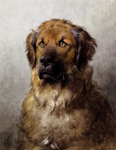 Head Leonberger (c.1880–c.1892) drawing high