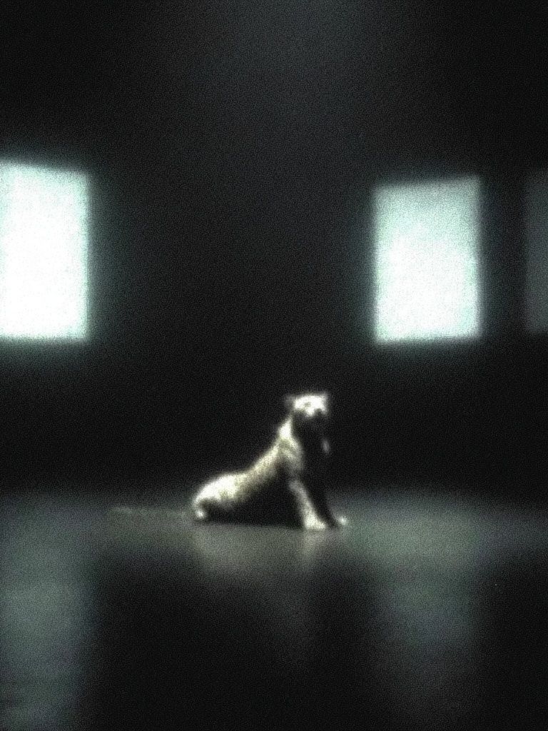 Solitary Dog in Dark Room Poster. poster detail