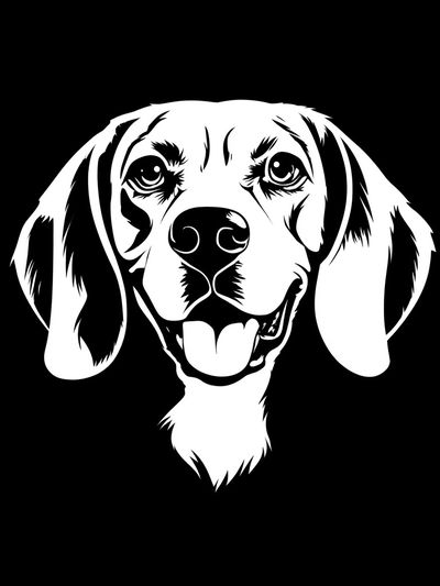 Beagle Portrait Black-White Poster. poster