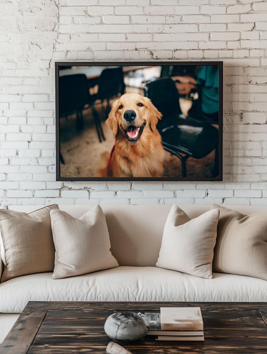 Happy Golden Retriever dog. — room view 1