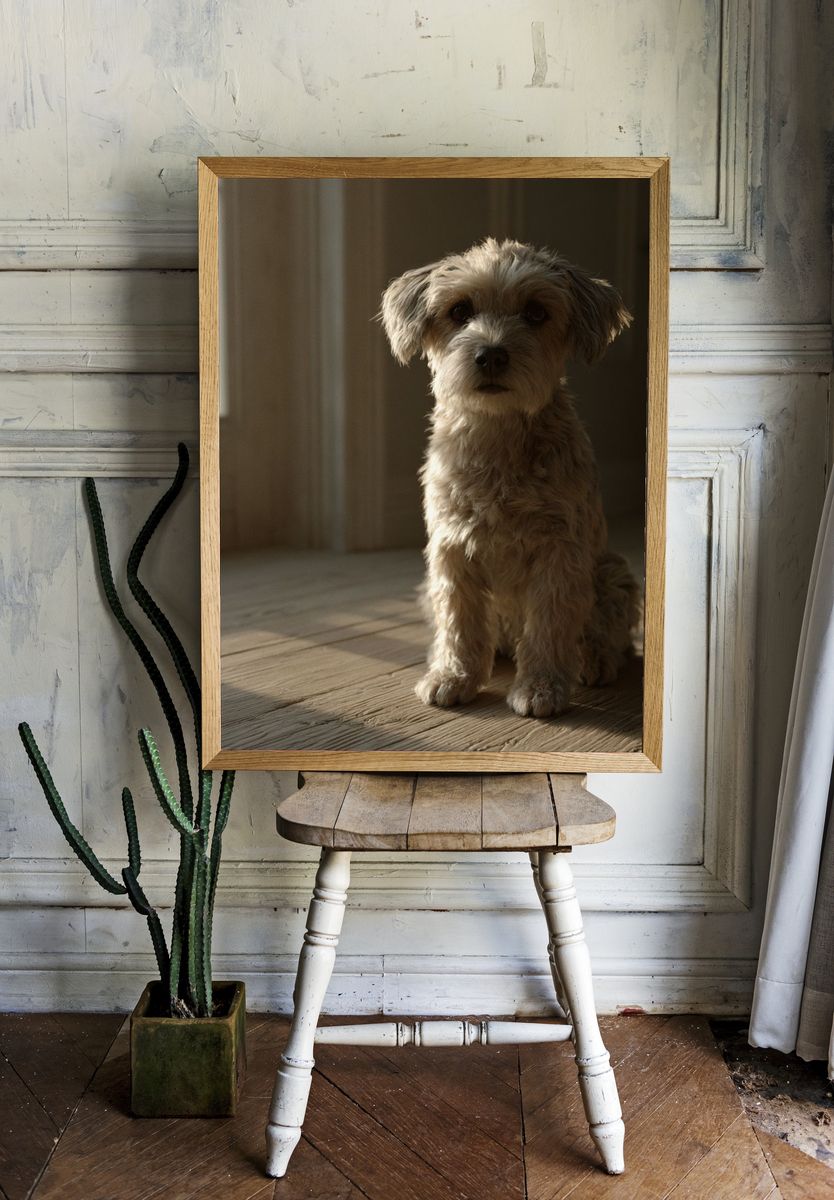 Soft Light Dog Portrait Poster. — room view 1