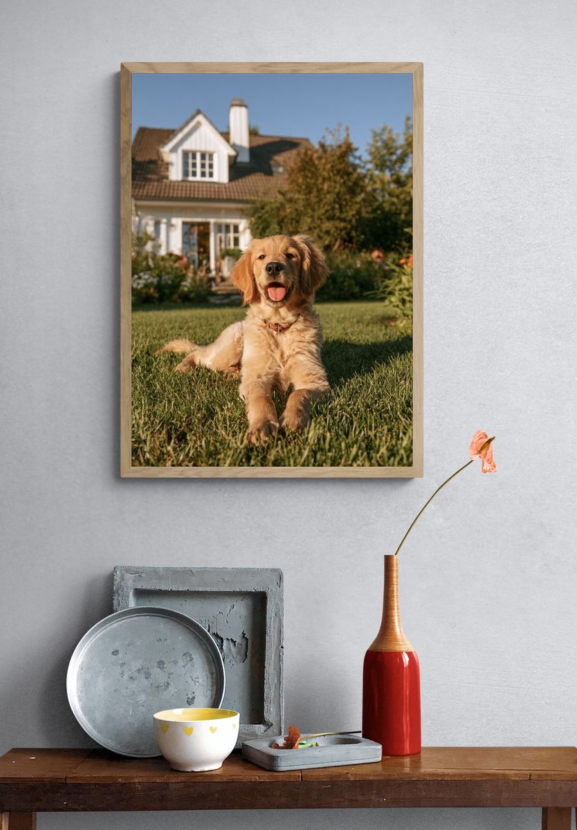 Golden Retriever in Garden Photography Poster. — room view 3
