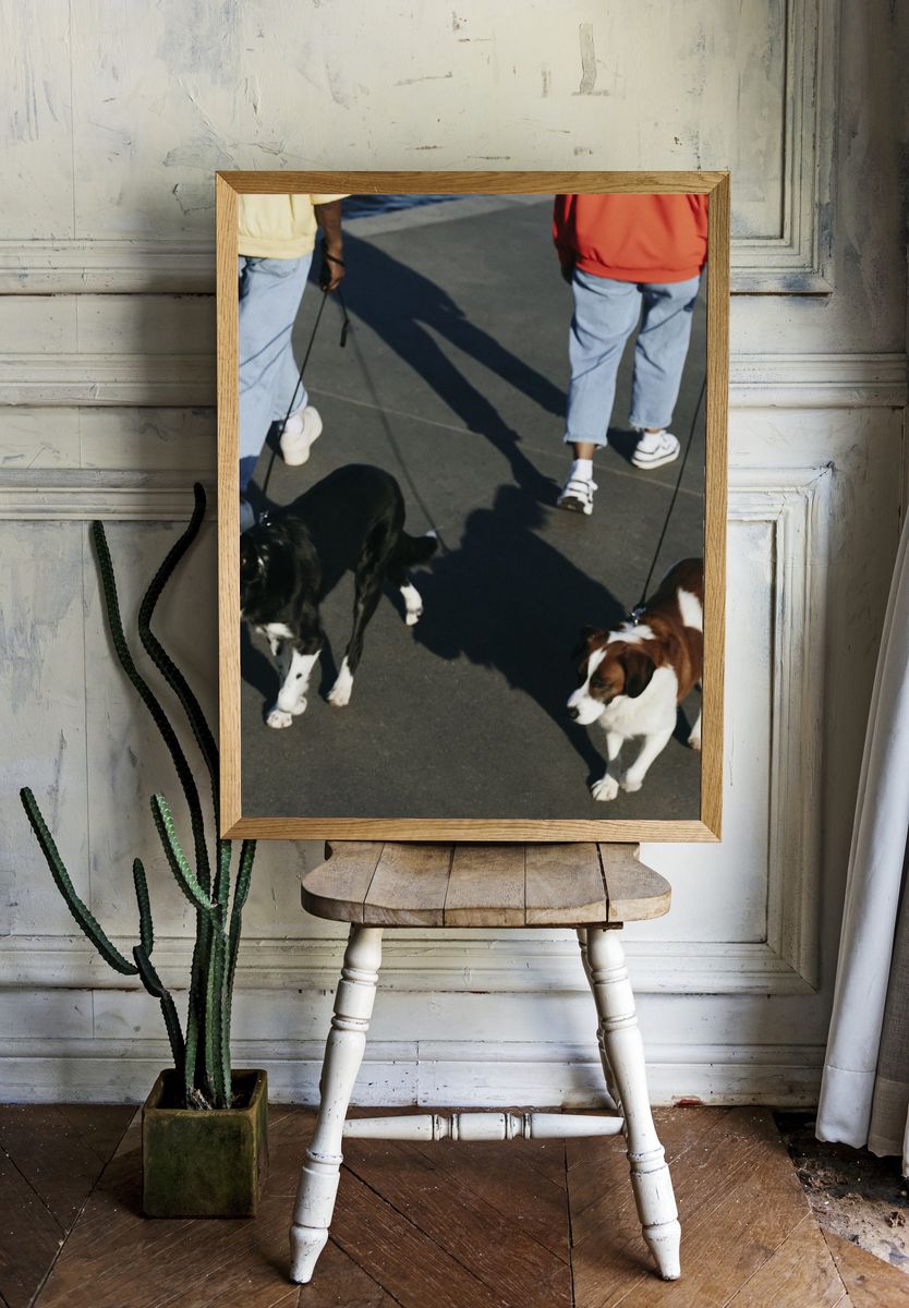 Dogs on Leashes Street Photography Poster. — room view 1