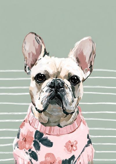 French Bulldog in Floral Sweater Poster. poster print