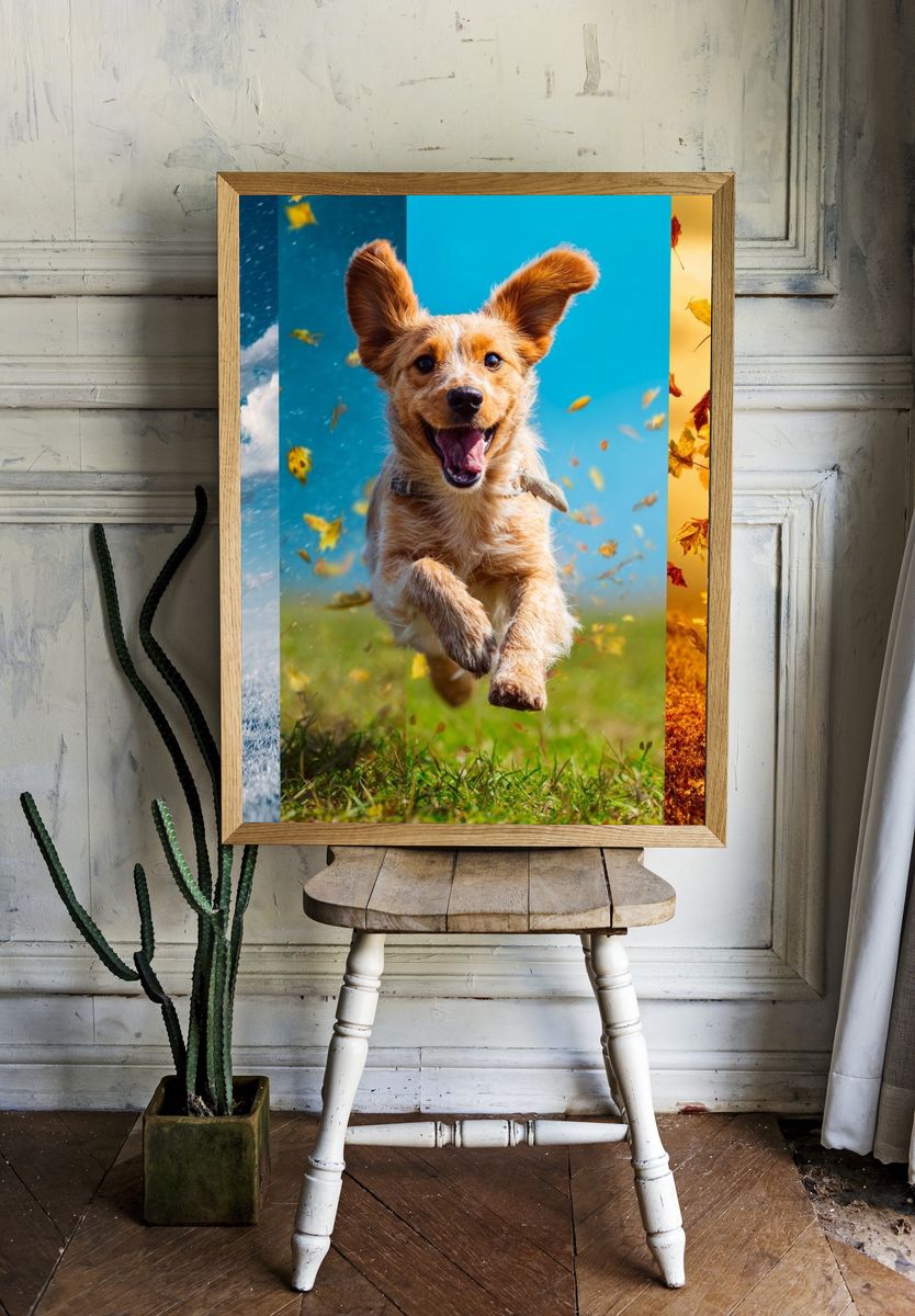 Happy Dog in Four Seasons Poster room preview