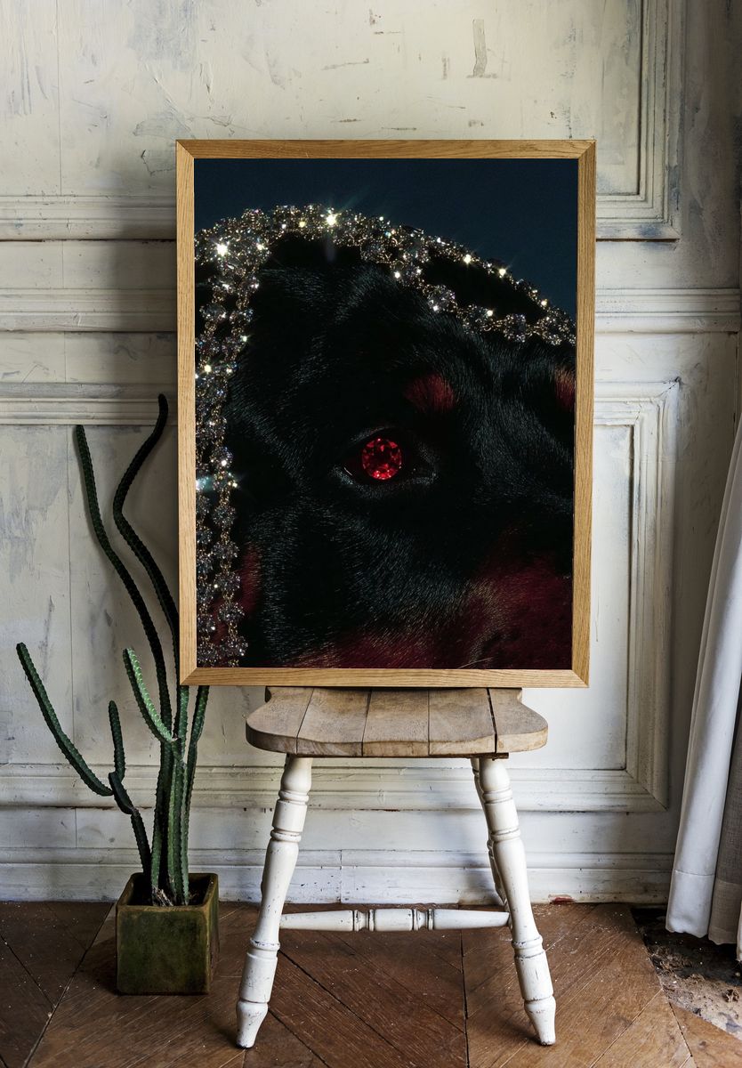 Rottweiler with Jewelry — Art Print room preview
