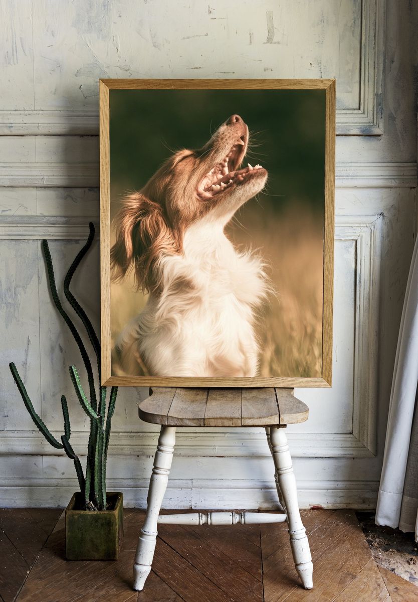 Howling Dog Photography Poster. — room view 1
