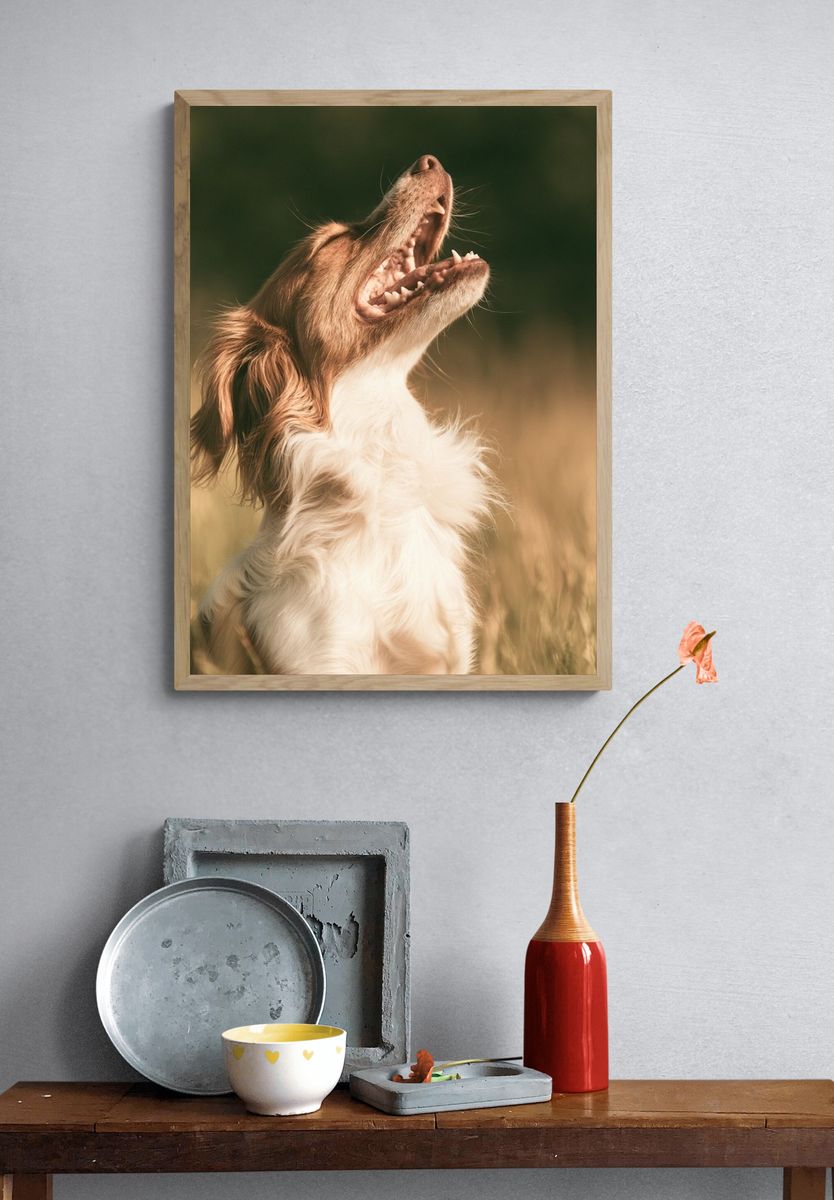 Howling Dog Photography Poster. — room view 3