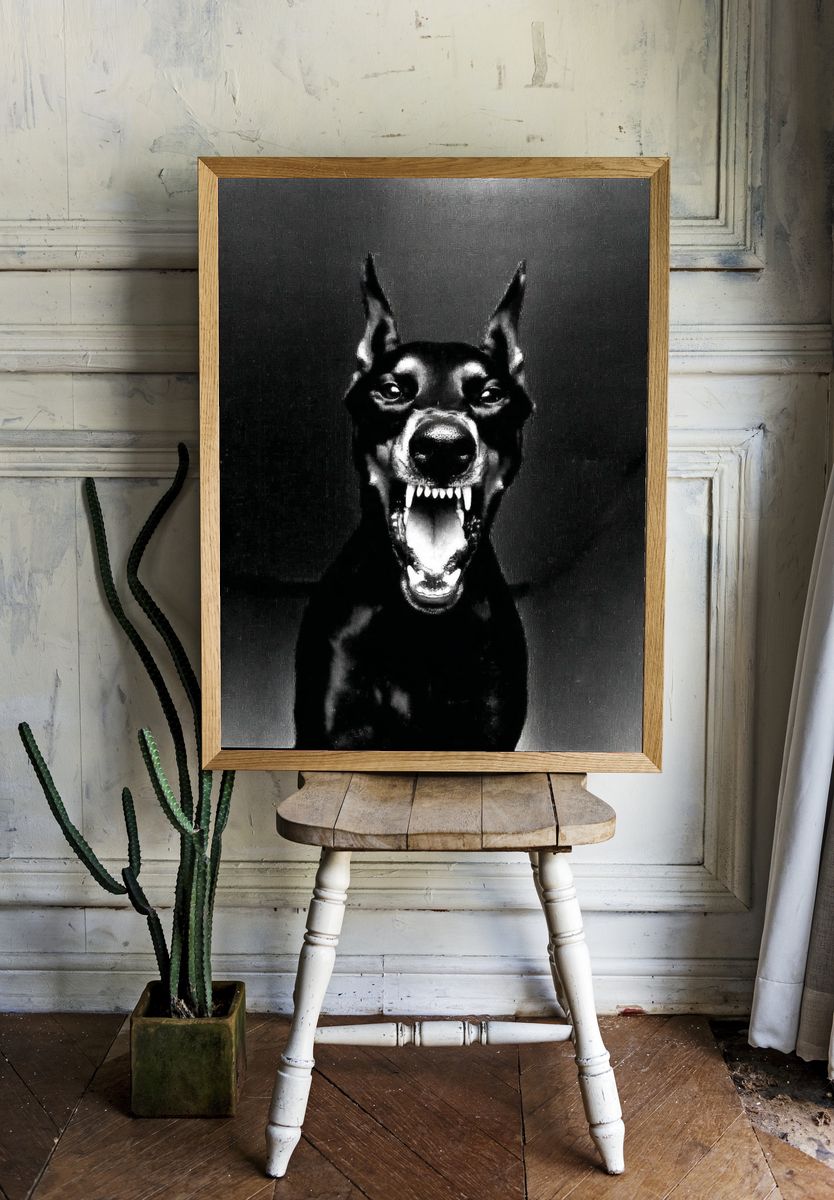 Doberman Portrait Black-White Poster room preview