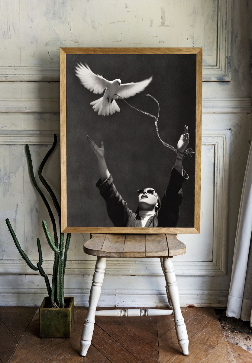 Dove Release Photography Poster. — room view 1