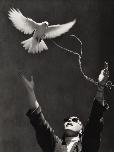 Dove Release Photography Poster. poster print
