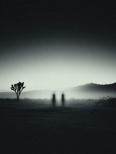 Misty Desert Silhouette