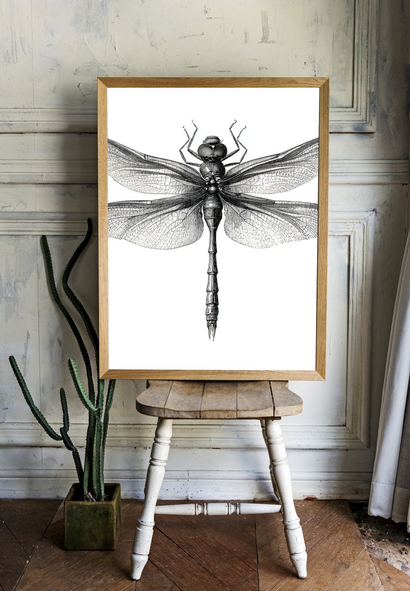 Dragonfly Illustration Poster. room preview