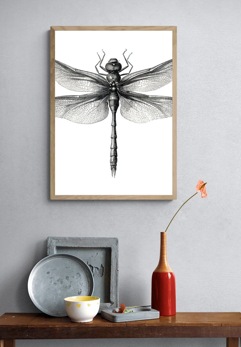 Dragonfly Illustration Poster. — room view 3