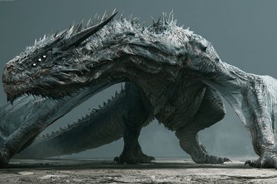 Dragon Creature Illustration Poster. poster