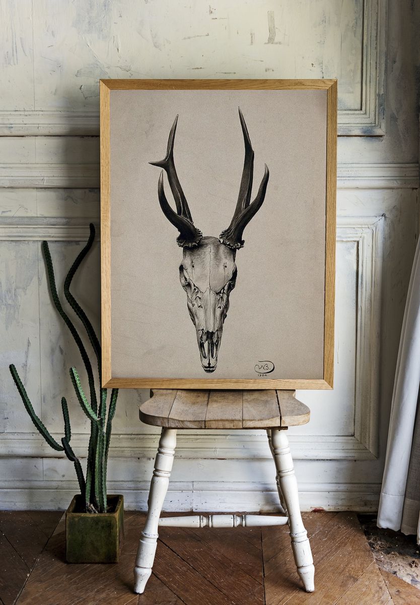 Deer Skull — Fine Art Print room preview