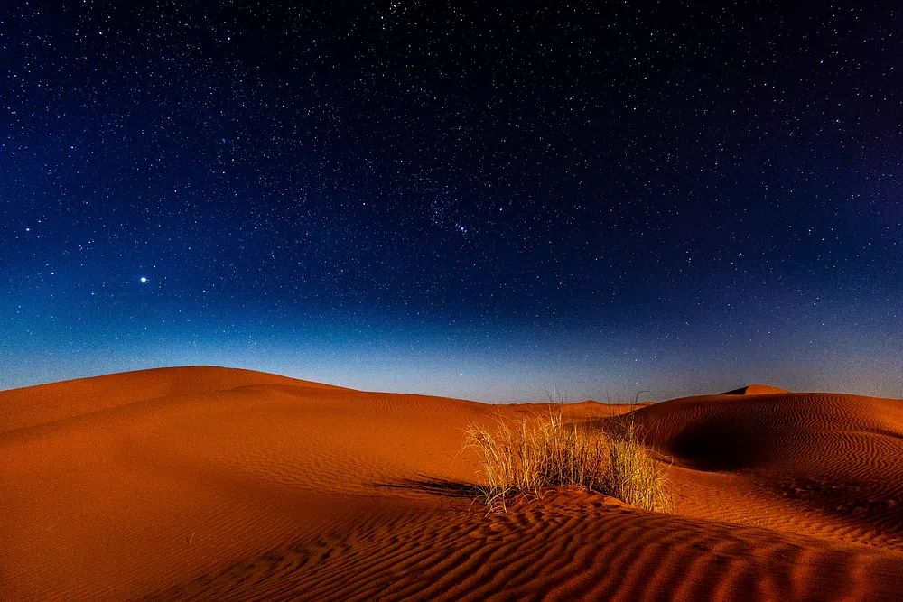 Desert Night Sky Poster. poster — nature art