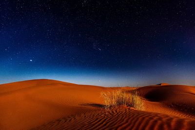 Desert Night Sky Poster. poster