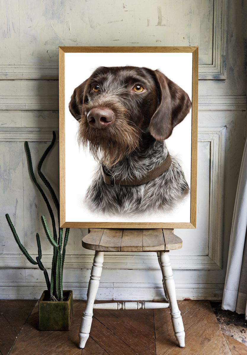 German Shorthaired Pointer Portrait Poster room preview