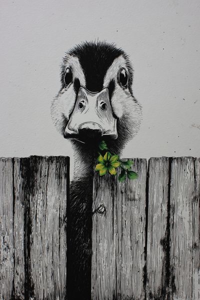 Duck with Flower — Illustration Print. poster