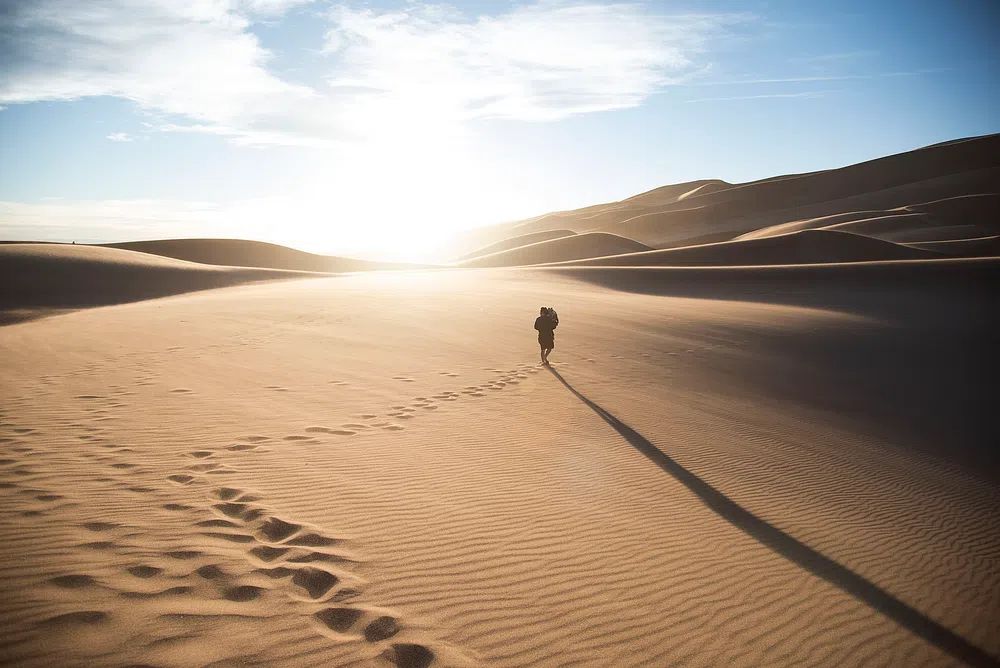Desert Wanderer — Photography Print. poster detail