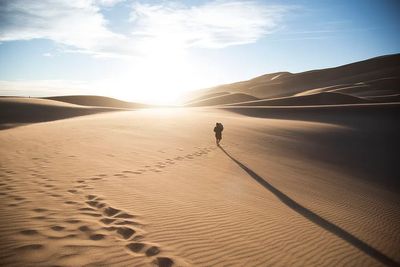 Desert Wanderer