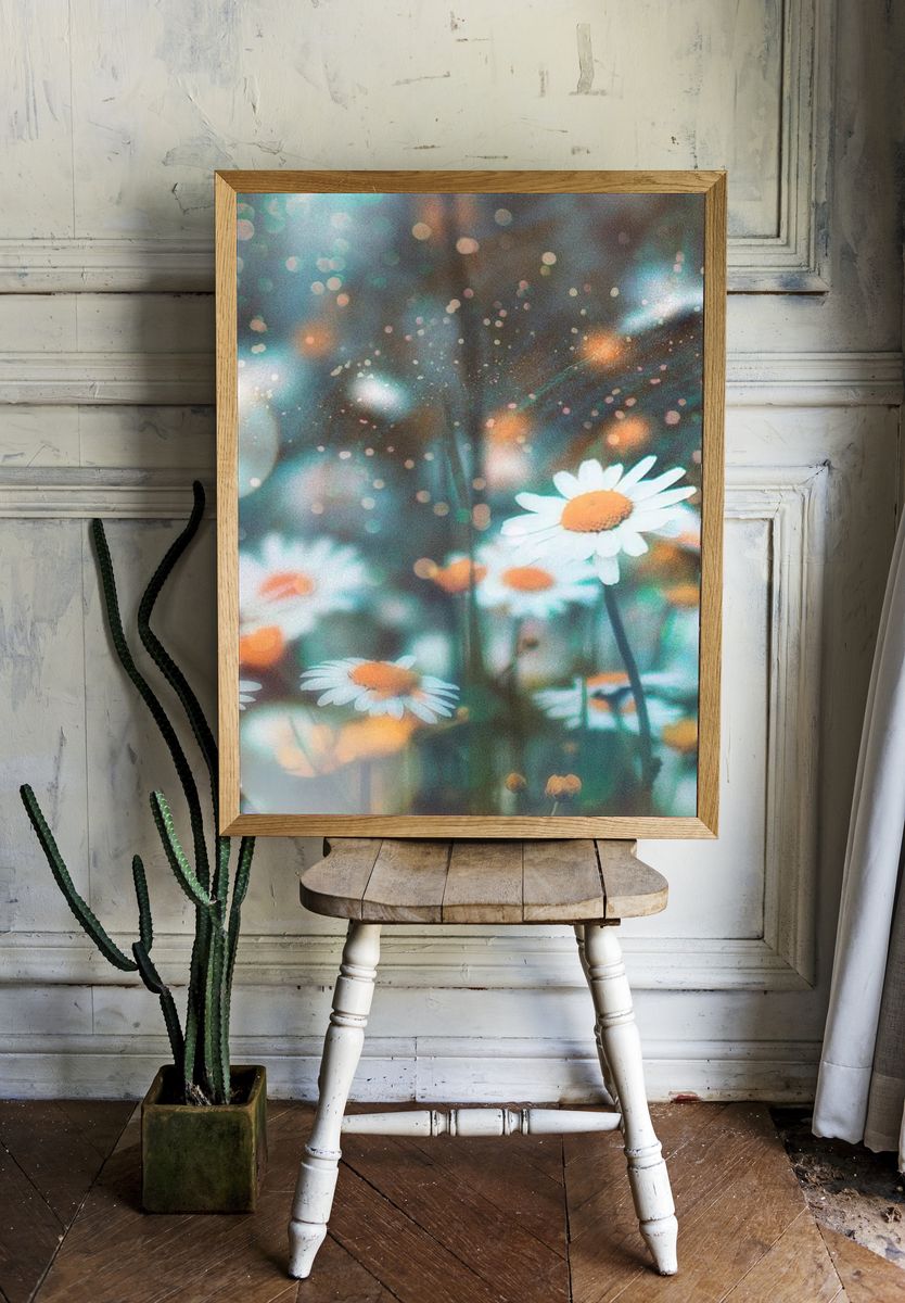 Daisy Field — Photography Print room preview