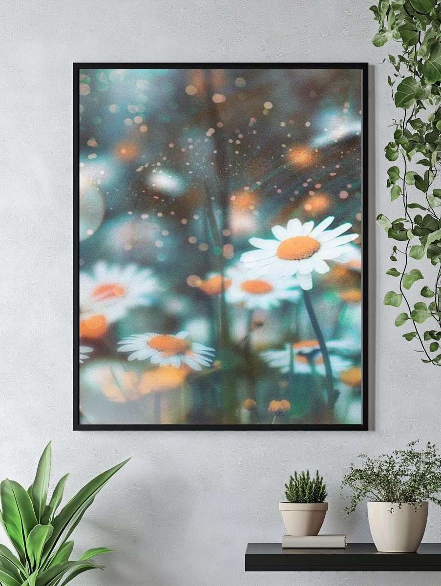 Daisy Field — Photography Print. — room view 4