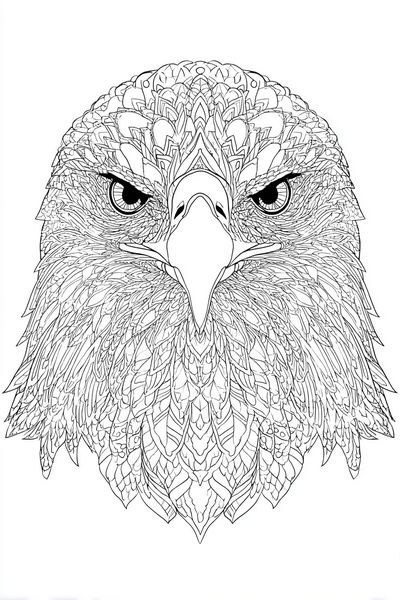 Ornate Eagle Line Art Poster. poster