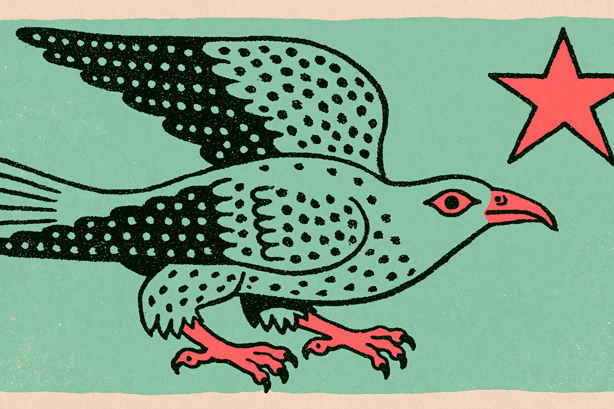 Flying Eagle Illustration Poster. poster detail
