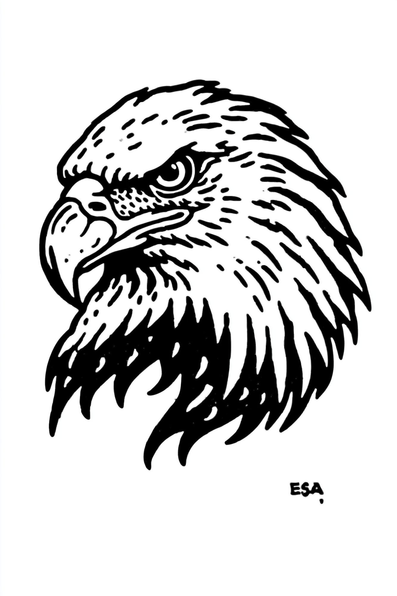 Eagle Head Ink Print. poster — illustration art