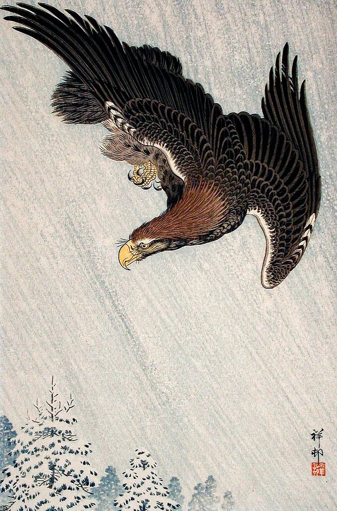 Eagle Flying Snow (1933) Ohara. poster — illustration art