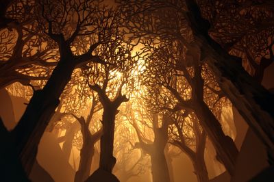 Ethereal Forest Light — Nature Print