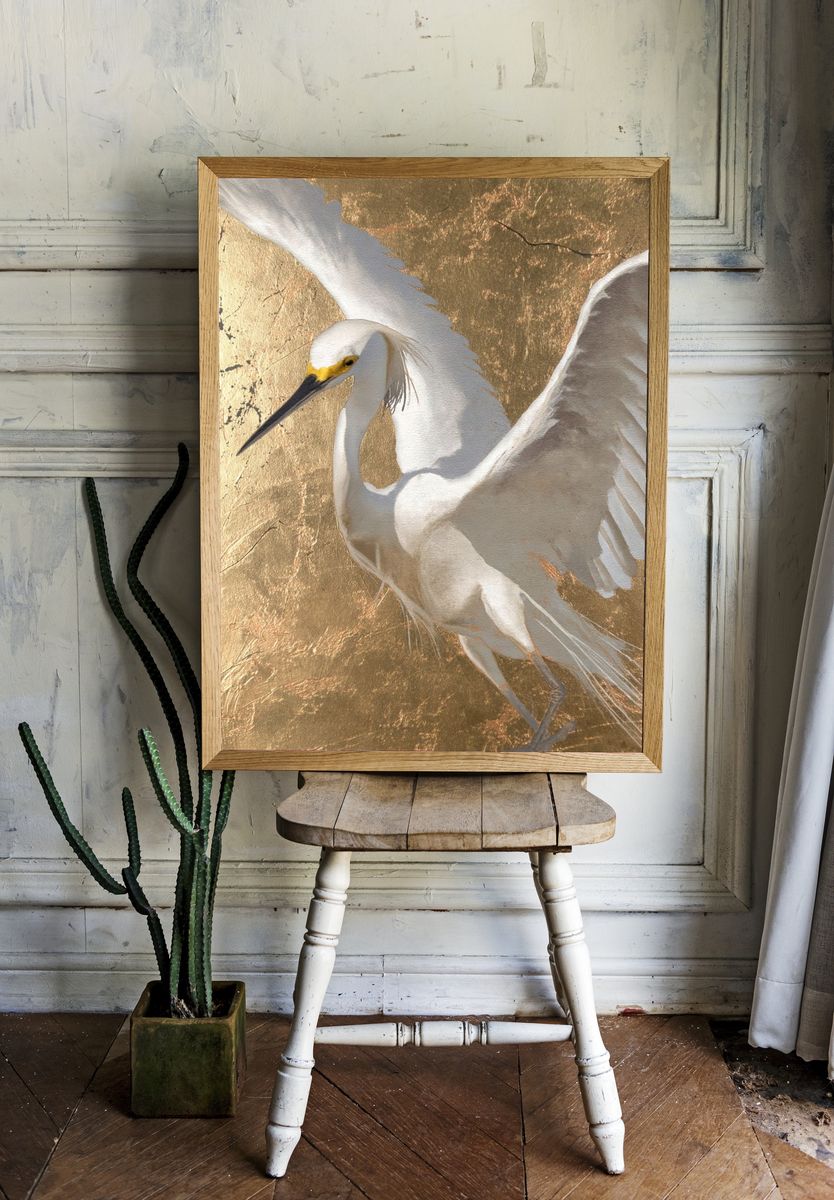 Snowy Egret — Fine Art Print room preview
