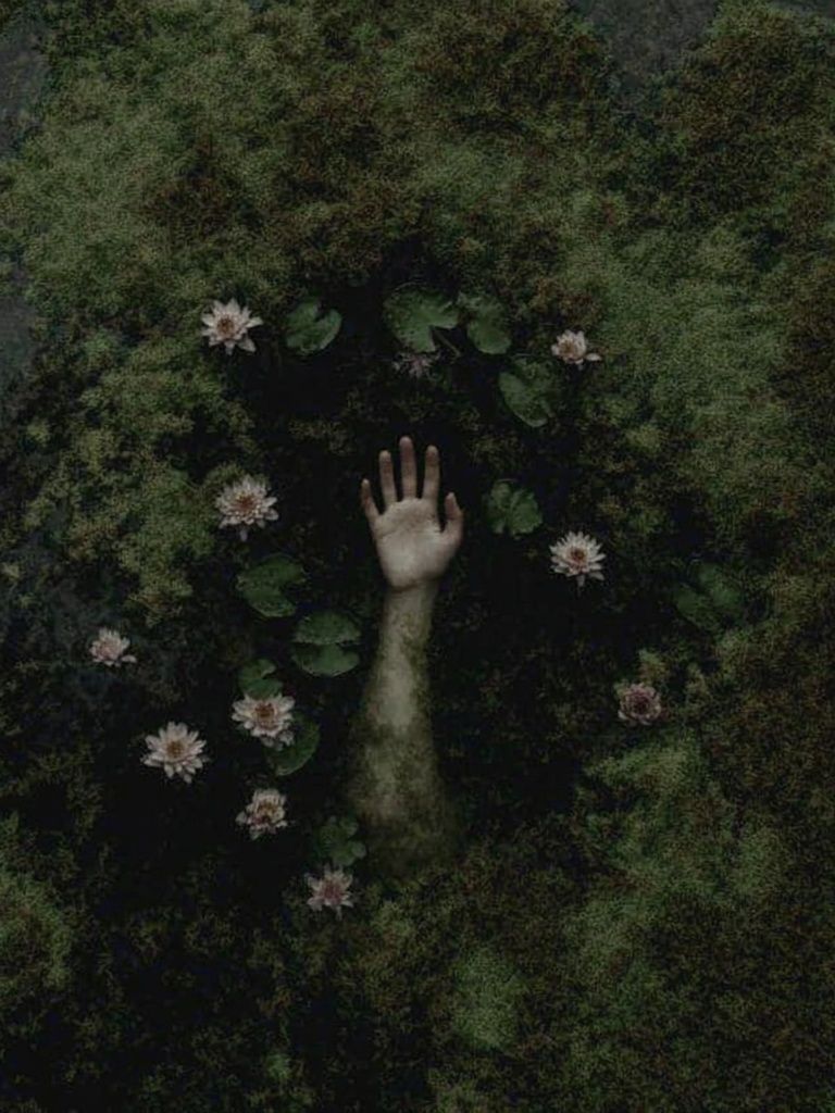 Emerging Hand Among Water Lilies — Fine Art Print. poster detail