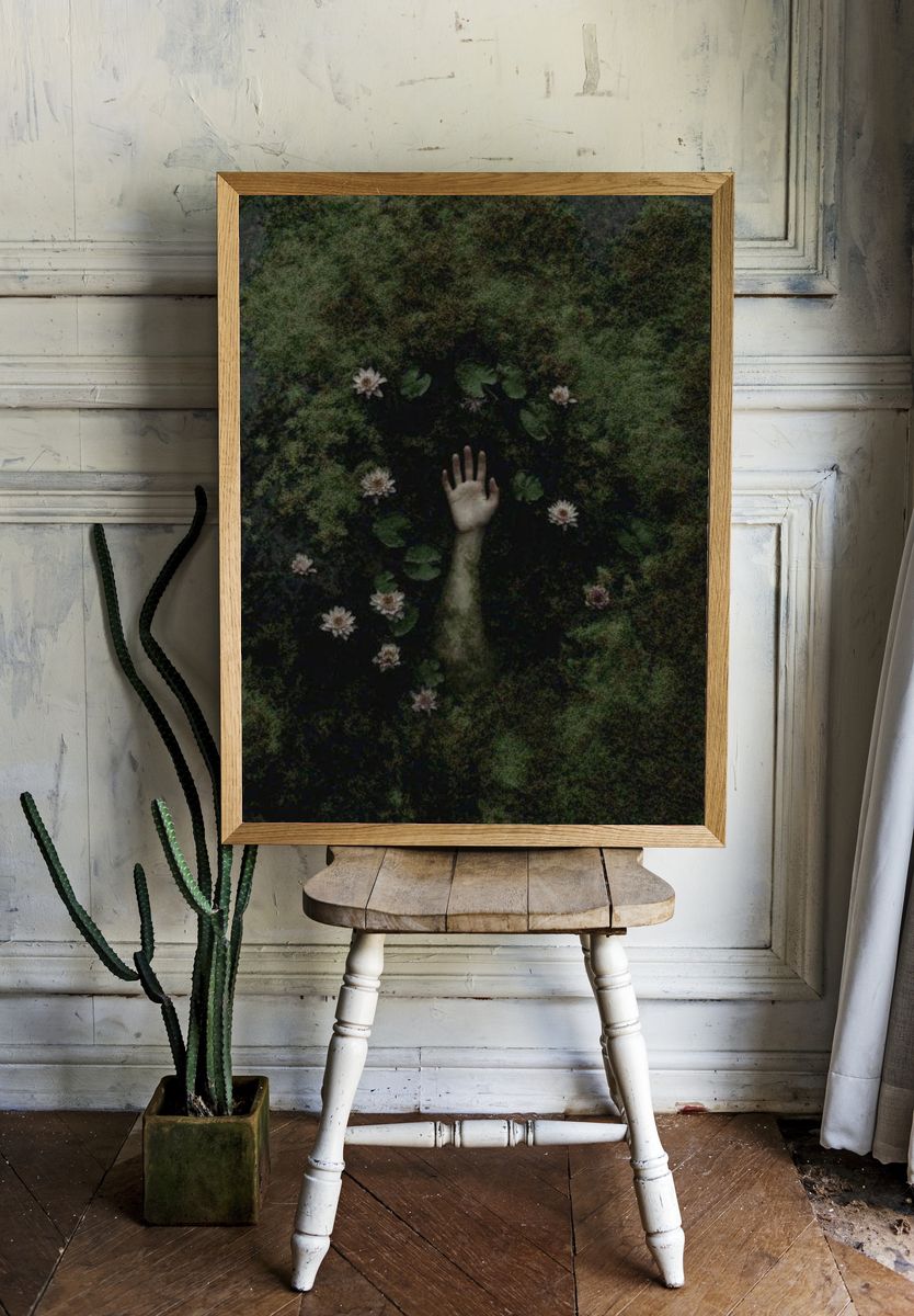 Emerging Hand Among Water Lilies — Fine Art Print room preview